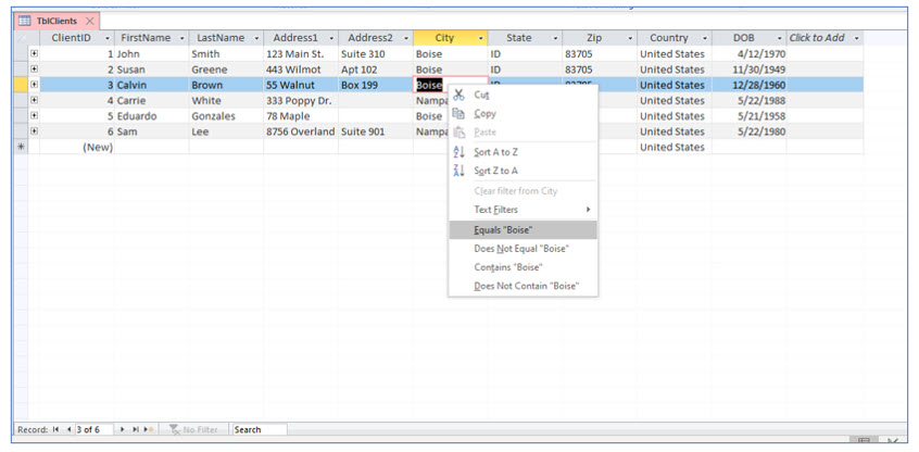 Microsoft Access lesson screenshot 3rdLesson1