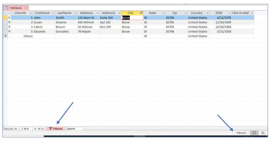 Microsoft Access lesson screenshot 3rdLesson2