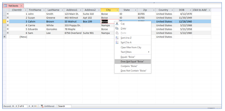 Microsoft Access lesson screenshot 3rdLesson4