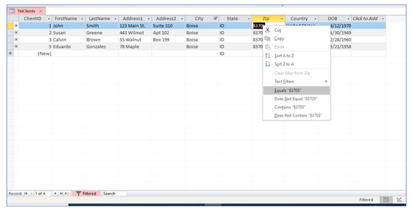 Microsoft Access lesson screenshot 3rdLesson5
