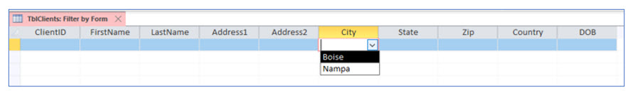 Microsoft Access lesson screenshot 3rdLesson8