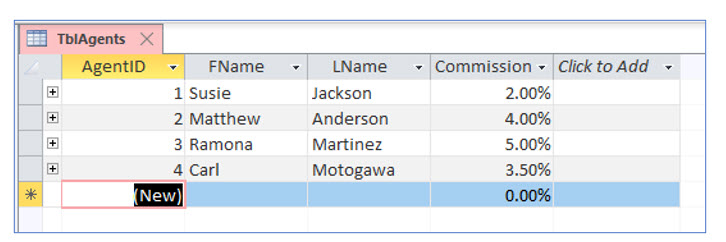 Microsoft Access lesson screenshot 4thLesson1