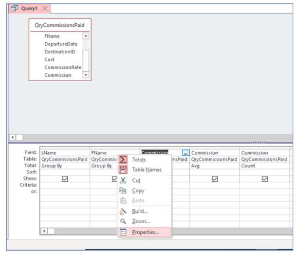 Microsoft Access lesson screenshot 5thLesson25