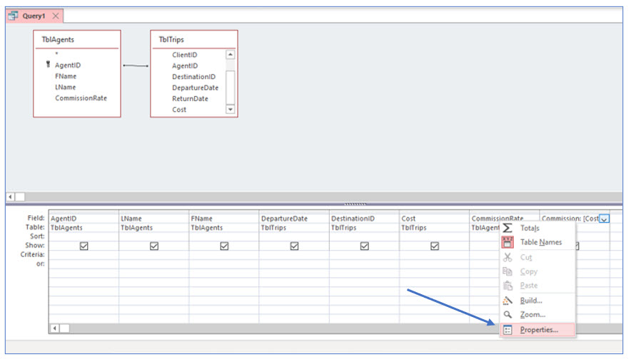 Microsoft Access lesson screenshot 5thLesson5