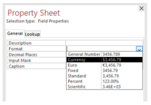 Microsoft Access lesson screenshot 5thLesson6
