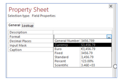 Microsoft Access lesson screenshot 5thLesson8