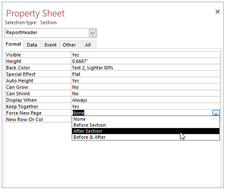 Microsoft Access lesson screenshot 7thLesson22
