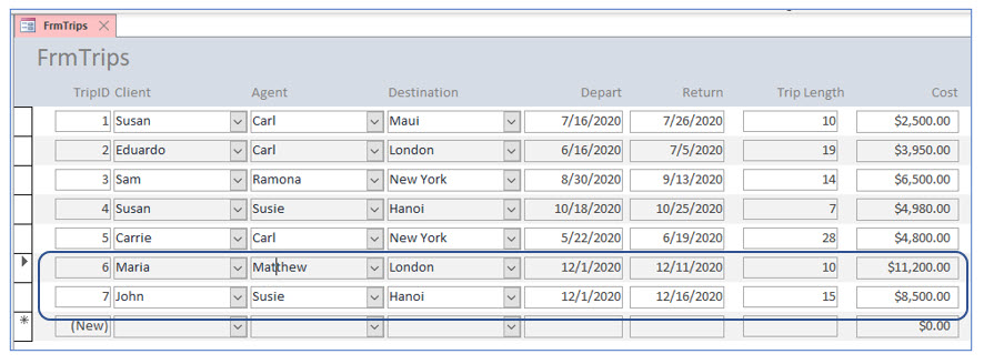 Microsoft Access lesson screenshot 8thLesson20
