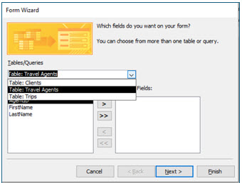 Microsoft Access lesson screenshot CreatingForms2