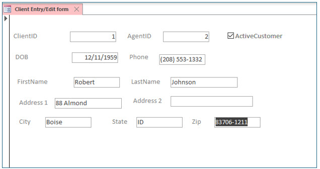 Microsoft Access lesson screenshot CreatingForms26