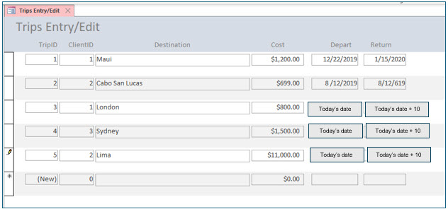 Microsoft Access lesson screenshot CreatingForms34