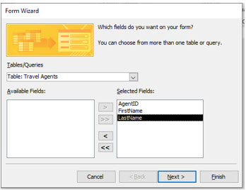 Microsoft Access lesson screenshot CreatingForms4