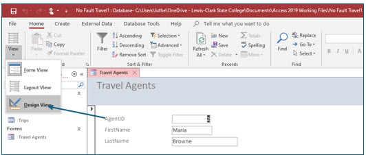 Microsoft Access lesson screenshot CreatingForms8