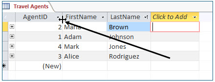 Microsoft Access lesson screenshot DataInTables4
