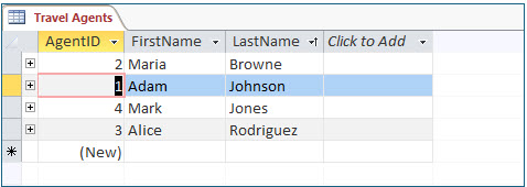 Microsoft Access lesson screenshot DataInTables8