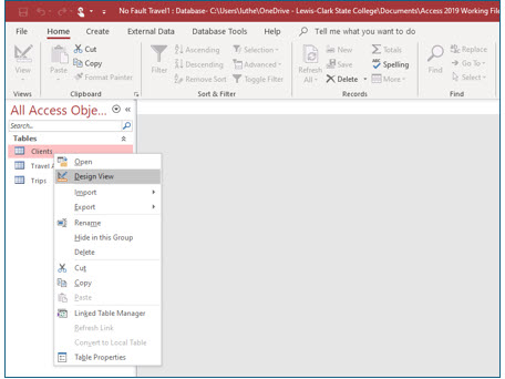 Microsoft Access lesson screenshot FieldProperties1