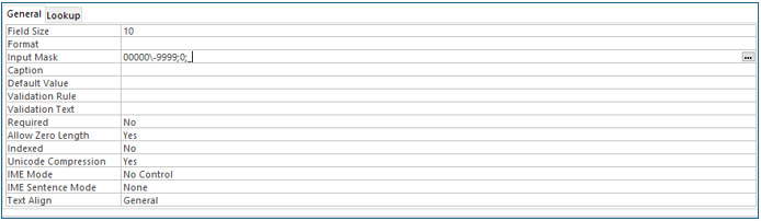 Microsoft Access lesson screenshot FieldProperties16