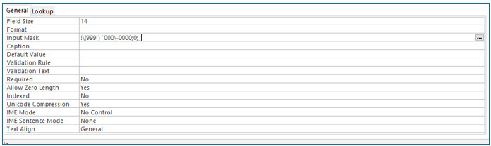 Microsoft Access lesson screenshot FieldProperties17