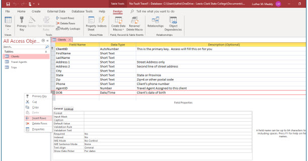 Microsoft Access lesson screenshot FieldProperties2