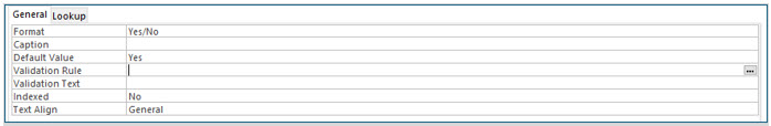 Microsoft Access lesson screenshot FieldProperties21
