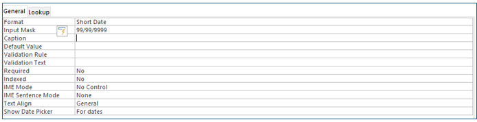 Microsoft Access lesson screenshot FieldProperties22