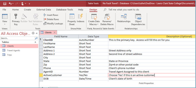 Microsoft Access lesson screenshot FieldProperties3
