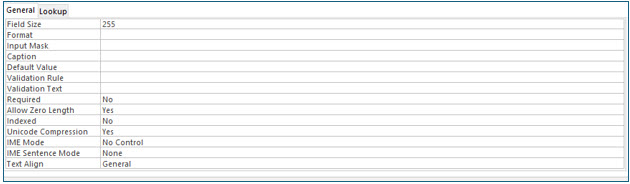 Microsoft Access lesson screenshot FieldProperties4