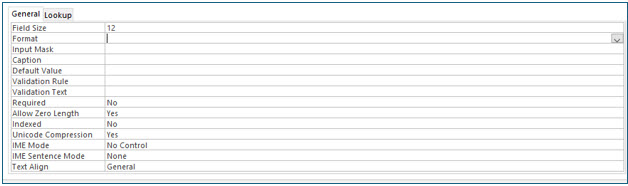 Microsoft Access lesson screenshot FieldProperties5