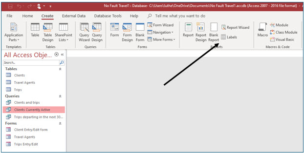 Microsoft Access lesson screenshot Reports1