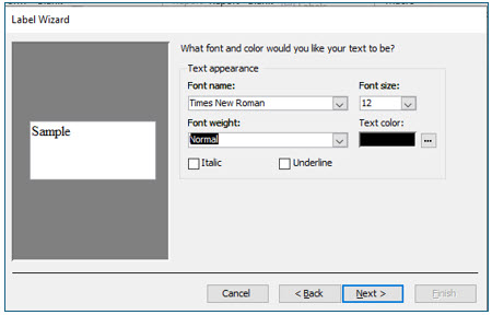 Microsoft Access lesson screenshot Reports3