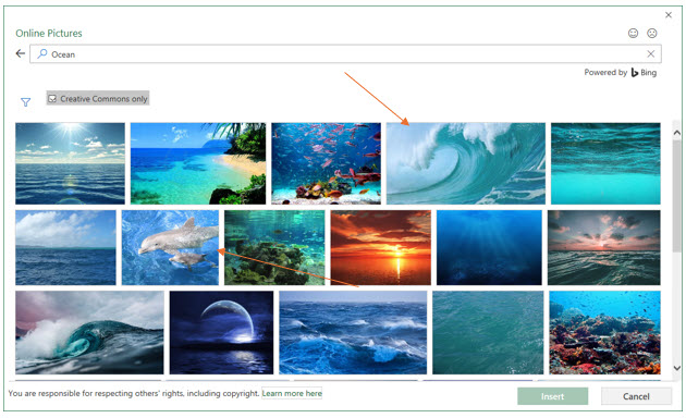 Microsoft Excel lesson screenshot BeyondEnhancingCharts30