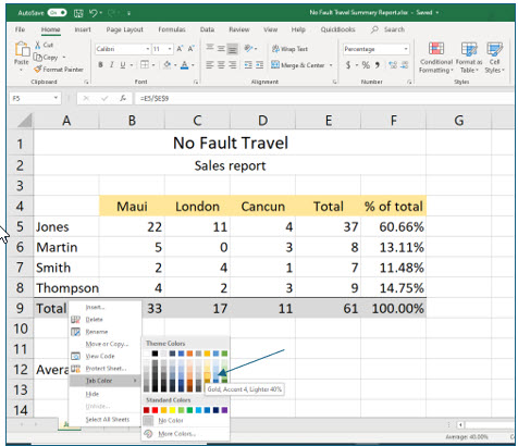 Microsoft Excel lesson screenshot MultipleWorksheets19