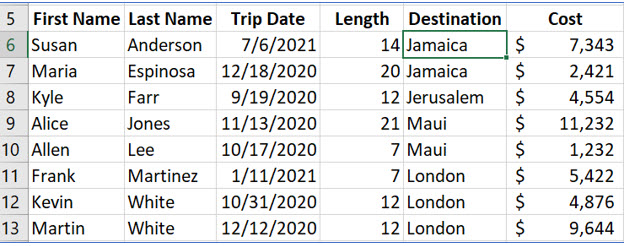 Microsoft Excel lesson screenshot Filters1