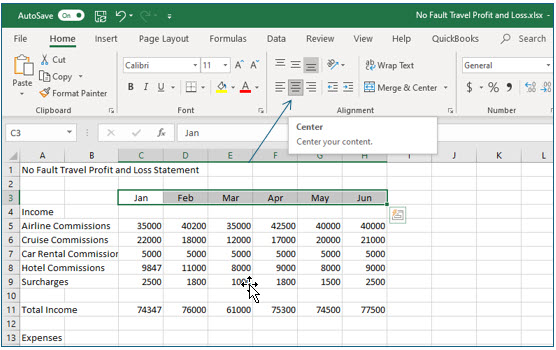 Microsoft Excel lesson screenshot Formatting3
