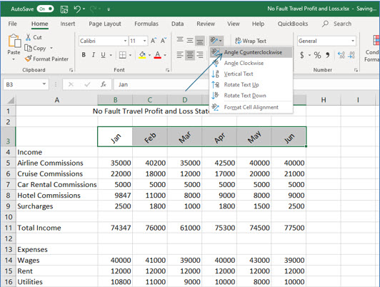Microsoft Excel lesson screenshot Formatting9