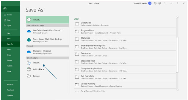 Microsoft Excel lesson screenshot GettingStarted5