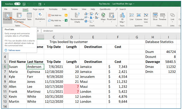Microsoft Excel lesson screenshot PivotTable1