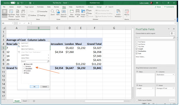 Microsoft Excel lesson screenshot PivotTable10