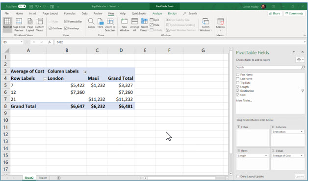 Microsoft Excel lesson screenshot PivotTable11