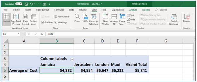 Microsoft Excel lesson screenshot PivotTable12