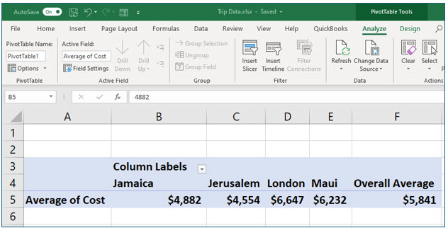 Microsoft Excel lesson screenshot PivotTable13