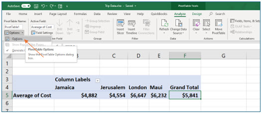 Microsoft Excel lesson screenshot PivotTable14
