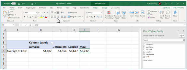 Microsoft Excel lesson screenshot PivotTable16