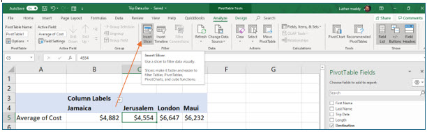 Microsoft Excel lesson screenshot PivotTable17