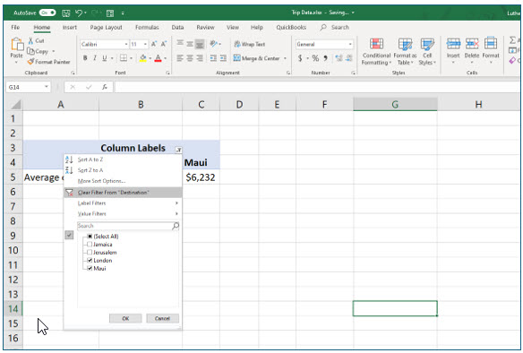 Microsoft Excel lesson screenshot PivotTable22