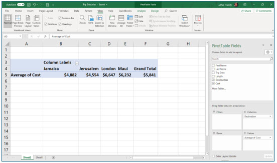 Microsoft Excel lesson screenshot PivotTable8