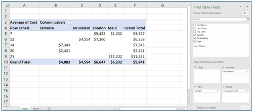 Microsoft Excel lesson screenshot PivotTable9