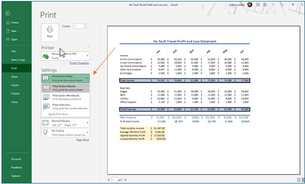 Microsoft Excel lesson screenshot Printing13