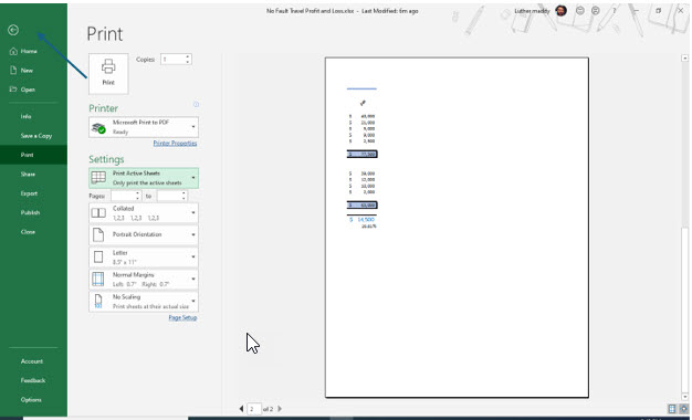 Microsoft Excel lesson screenshot Printing3