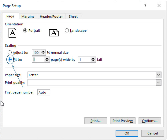 Microsoft Excel lesson screenshot Printing6